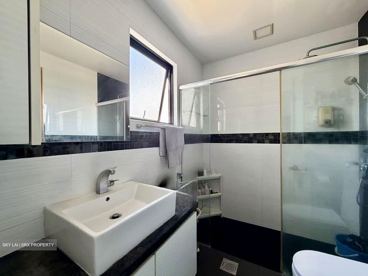 Le Conney Park (D15), Apartment #572155101